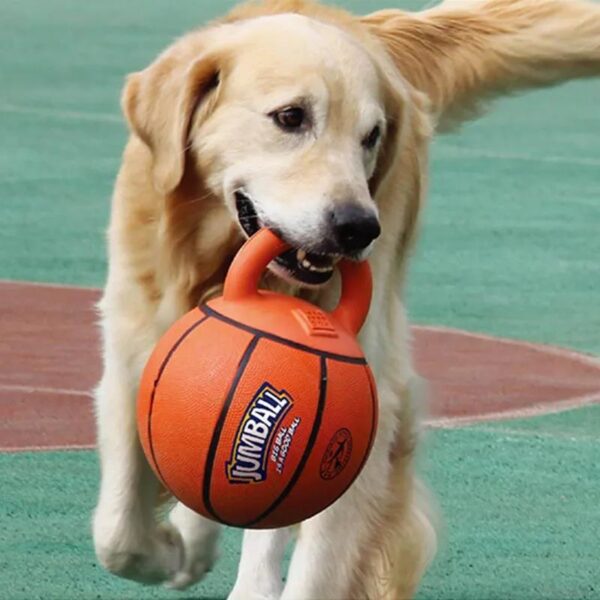 Dog Toys Bite-Resistant Pet Toy Ball Rubber Handle Interactive Training Medium and Large Dog Pet Supplies